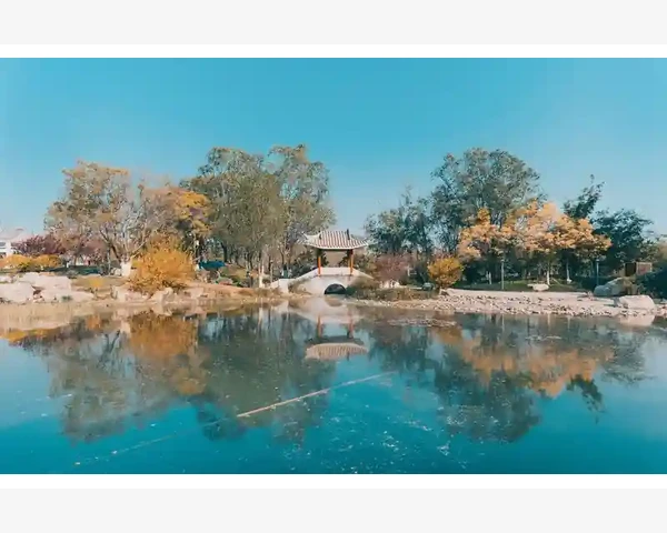 调理脾胃：天天熬米汤，孩子更健康